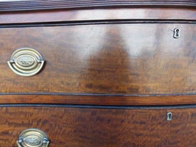 Georgian serpentine plum pudding mahogany chest of drawers - Image 6
