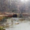 SOLD Alfred De Breanski Snr. (1852-1928) Walton on Thames - Image 3