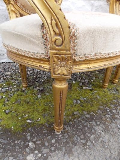 SOLD 19th century French gilt wood salon chairs 19th century Antique Chairs 9