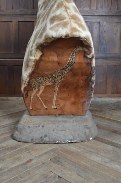 Taxidermy African Bull Giraffe SAI3321 African Antique Art 19