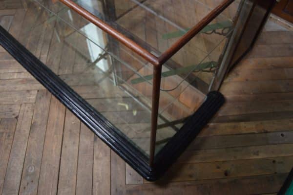 Victorian Shop Display Cabinet SAI2895 - Image 16