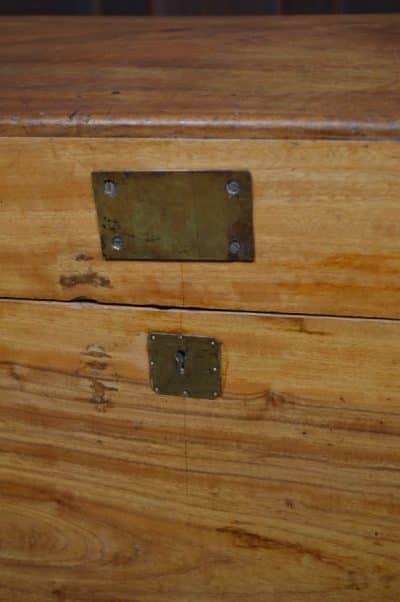 Camphor Wood Storage / Blanket Box SAI3299 Antique Boxes 5