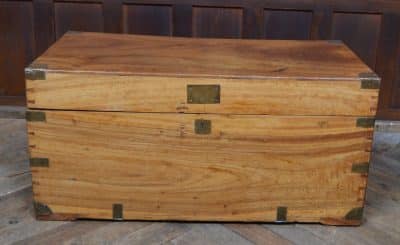 Camphor Wood Storage / Blanket Box SAI3299 Antique Boxes 3