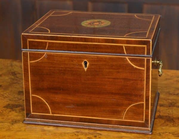 Regency Mahogany Tea Caddy SAI3032 Antique Boxes 3