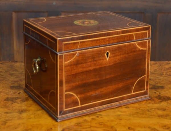 Regency Mahogany Tea Caddy SAI3032 - Image 6