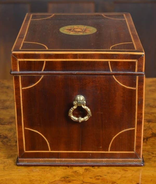 Regency Mahogany Tea Caddy SAI3032 - Image 5