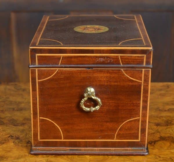 Regency Mahogany Tea Caddy SAI3032 - Image 3
