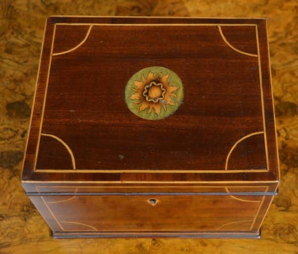 Regency Mahogany Tea Caddy SAI3032 - Image 2