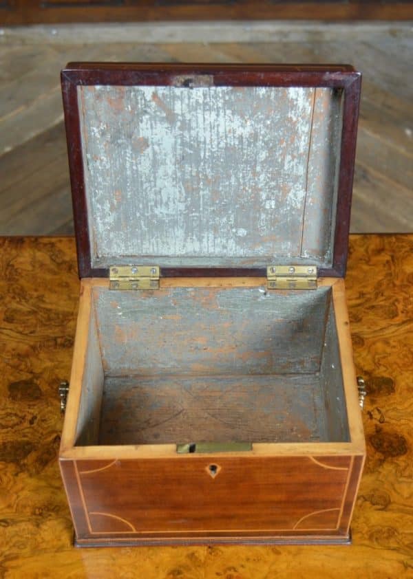 Regency Mahogany Tea Caddy SAI3032 - Image 8