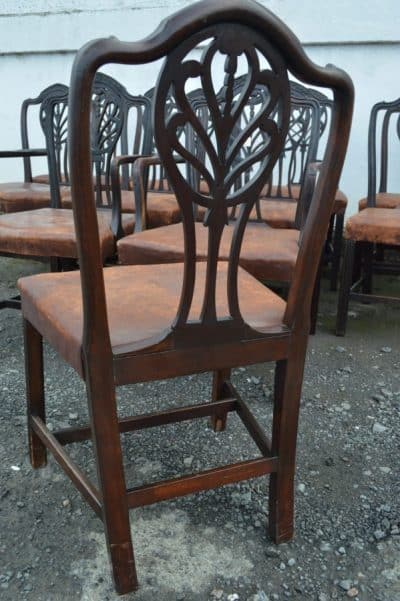 Set of 11 Geo III mahogany dining chairs - Image 4