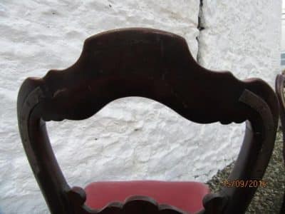 Set of four carved mahogany dining chairs - Image 4