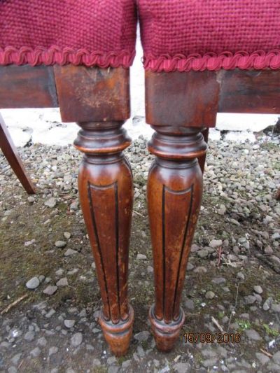Set six carved rosewood balloon back dining chairs - Image 3