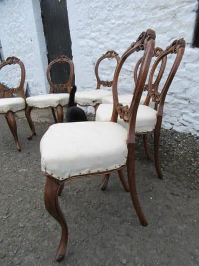 Set of Victorian carved walnut balloon back dining chairs. - Image 3