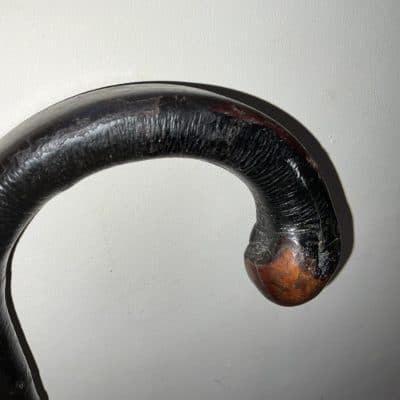 Irish Blackthorn walking stick sword stick the very best - Image 16