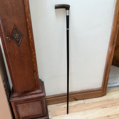 Exceptional walking stick/sword stick Miscellaneous 7