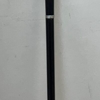 Exceptional walking stick/sword stick Miscellaneous 15