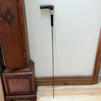 Exceptional walking stick/sword stick Miscellaneous 21