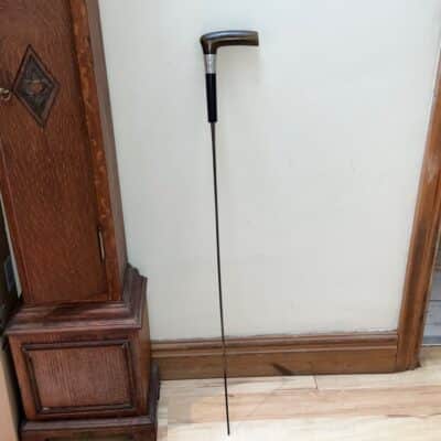 Exceptional walking stick/sword stick Miscellaneous 29