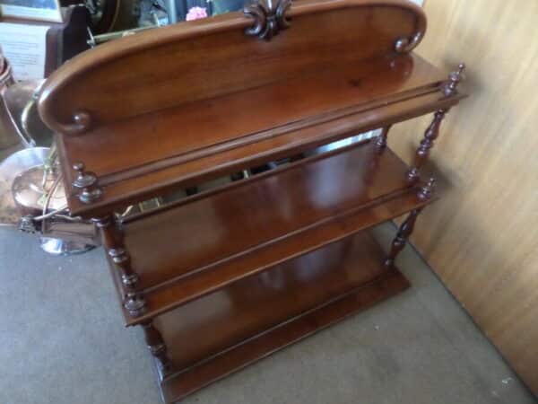 A VICTORIAN MAHOGANY DISPLAY STAND/DUMB WAITER Antique Bookcases 3