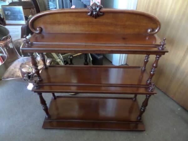 A VICTORIAN MAHOGANY DISPLAY STAND/DUMB WAITER Antique Bookcases 4