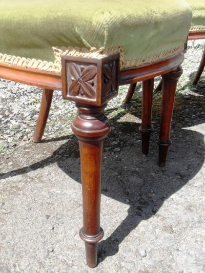 SOLD Set of 6 Victorian Mahogany chairs Antique Antique Chairs 7