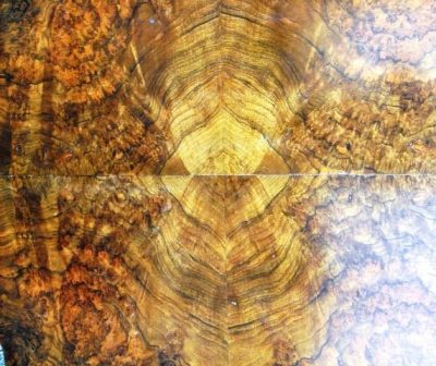Victorian Burr walnut loo table - Image 4