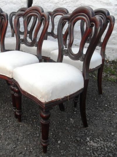 SOLD Set 12 Victorian mahogany dining chairs Antique Chairs Antique Chairs 4