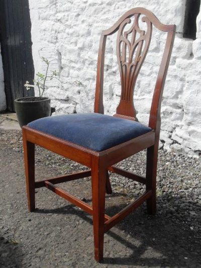 Set of 6+2 Edwardian hepplewhite revival mahogany dining chairs - Image 5