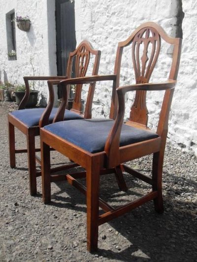 Set of 6+2 Edwardian hepplewhite revival mahogany dining chairs - Image 2