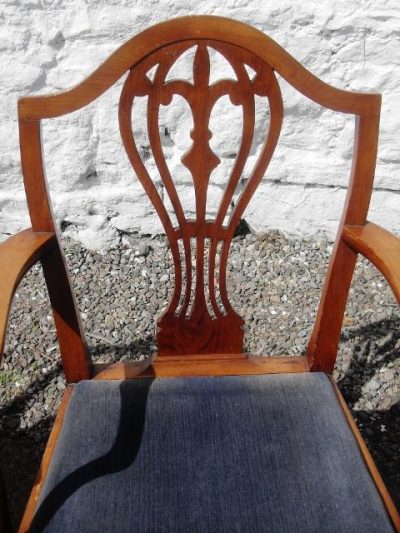 Set of 6+2 Edwardian hepplewhite revival mahogany dining chairs 19th century Antique Chairs 6