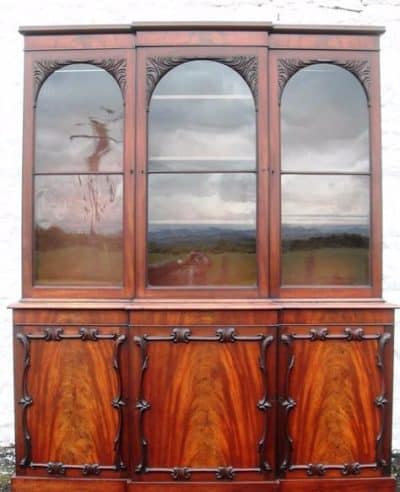 William IV Mahogany Library Bookcase 19th century Antique Bookcases 3