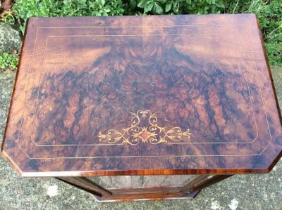 Victorian Burr Walnut side cabinet Andrew Christie Antique Cabinets 4