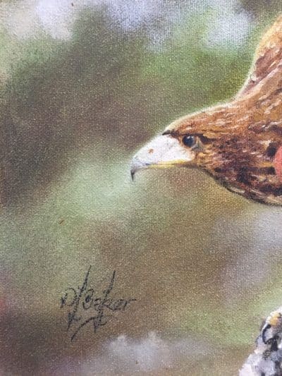 Dave Baker. (American) Oil on canvas.Titled: "The Harris Hawk" - Image 3