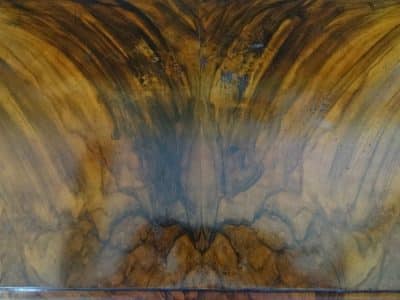 Victorian burr walnut and marquetry cabinet - Image 6