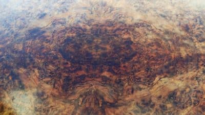 SOLD Victorian burr walnut centre table - Image 2