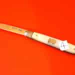 Antiques 1893 Silver Mother of Pearl  Fruit Knife – No 4 Mother Pearl Silver Knives Antique Knives