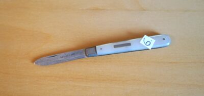 Antique 1894 Silver Mother of Pearl Fruit Knife