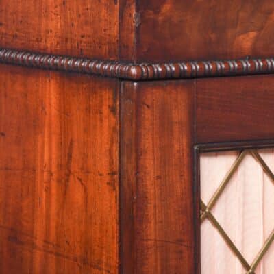 Quality Brass Regency Mahogany Pier Cabinet with Brass Grill Door - Image 4