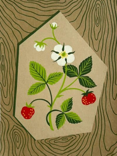 Original watercolour 'Strawberry design' By Colleen Farr B.1930. C.1960. Unframed. Signed verso. Provenance; The artists studio.