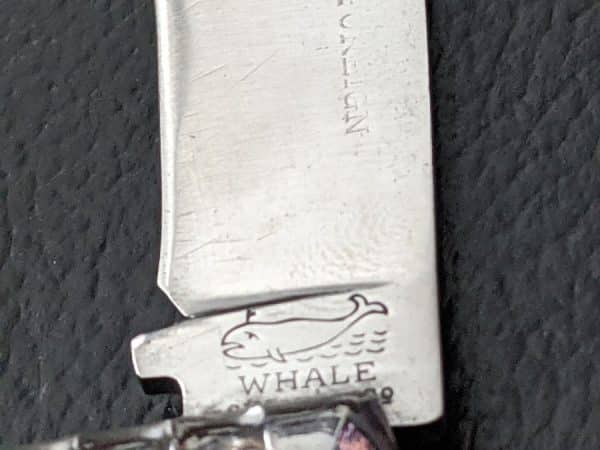 German whale brand pocket knife lovely knife very rare - Image 4