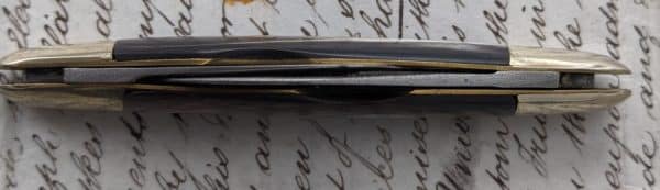 William Rogers of Sheffield pocket knife - Image 4