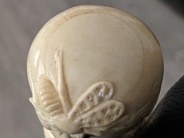 Warking stick stunning detail bovine bone 1920 - Image 9