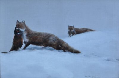 Charles Whymper (1853-1941), Foxes in the snow with their kill.