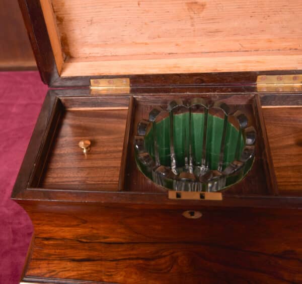 Victorian Rosewood Tea Caddy SAI2597 - Image 10
