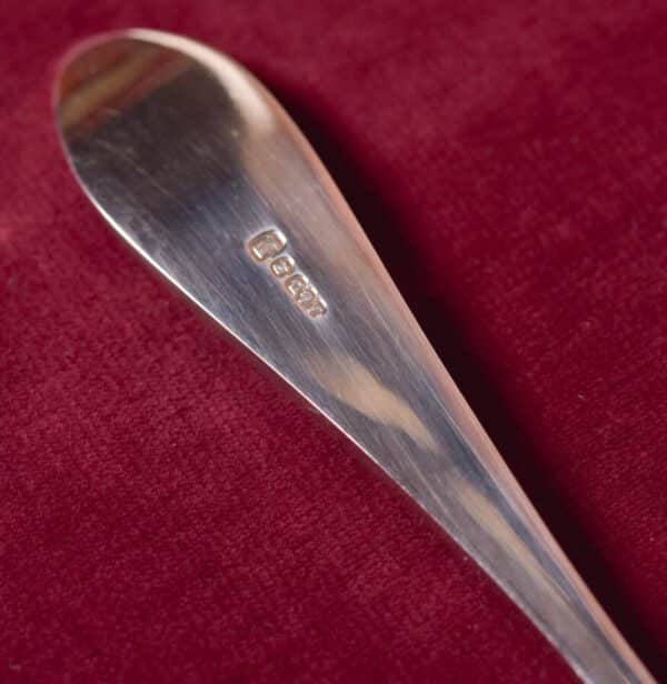Silver Plate Fruit And Nut Serving Set SAI2601 - Image 6