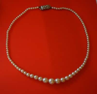 Vintage 17" Pearl Graduated Pearl Necklace & Oyster Shell Box - Image 2