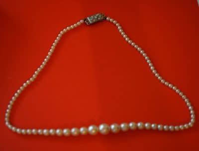 Vintage 17" Pearl Graduated Pearl Necklace & Oyster Shell Box - Image 6