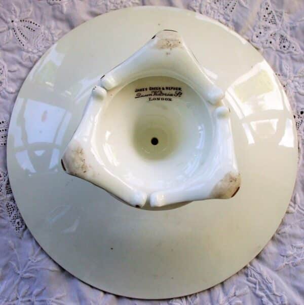 Antique English Victorian Semi - Porcelain Botanical Part Dessert Service by Grainger of Worcester - Image 21