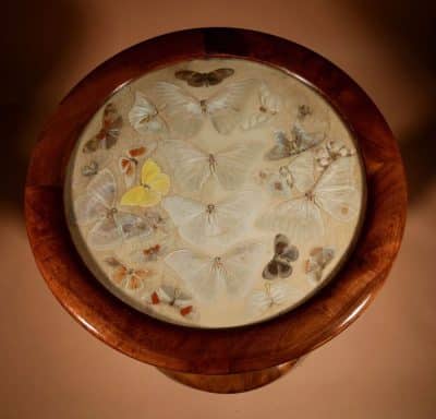  A Brazilian Butterfly Table, Circa 1900-20 - Image 2