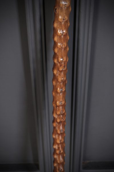 Gentlemans Walking Stick Cane - Image 3